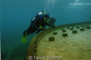 Diver examines boiler on the 'Wetmore', Fathom Five Natio... by David Gilchrist 
